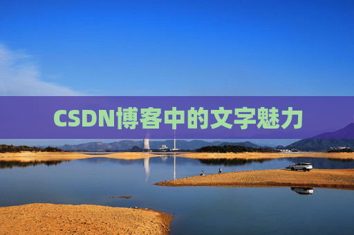 CSDN博客中的文字魅力 CSDN博客中的文字魅力